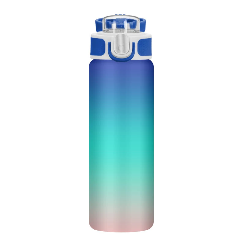 SS Flask 500ml